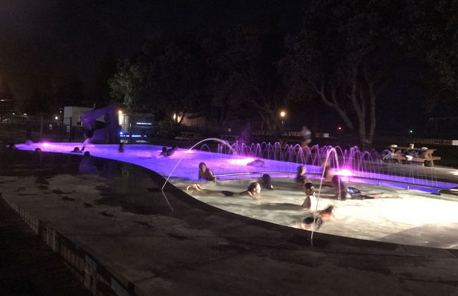 Waikanae Beach TOP 10 Holiday Park - Foto 66