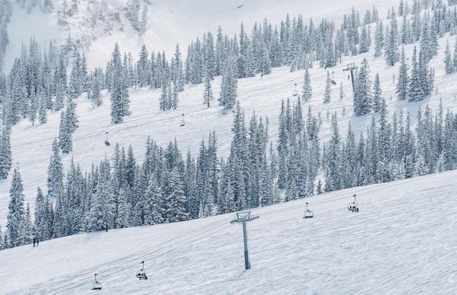 Aspenwood - CoralTree Residence Collection - Photo 75