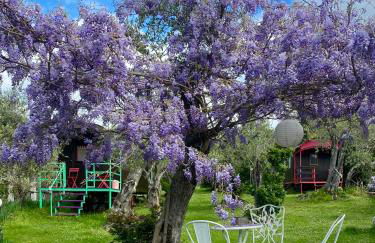 Azienda agricola Della Mezzaluna - Foto 14