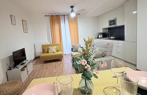 Mi trocito de Sabiñanigo, wifi y garaje - Foto 8