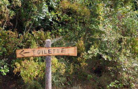 Miki's Little House - Photo 8