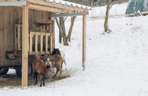 Appartement Mountain Escape 66 - Comfort & Uitzicht | Am Bergelchen 66 Niedersfeld Winterberg - Foto 28