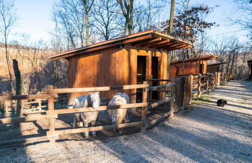 Tenuta Della Casa Wine & Rooms - La Pausa del Collio - Photo 16