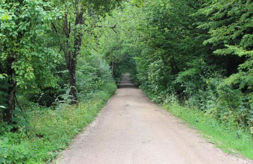 Apartamenty pod Wiciokrzewem - Foto 25