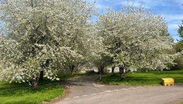 Culloden Stables 4 - Foto 4