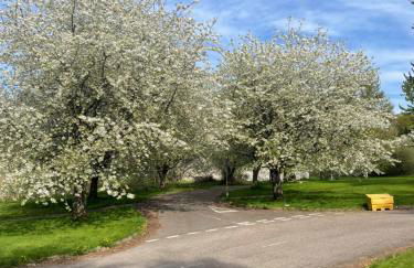 Culloden Stables 4 - Photo 4