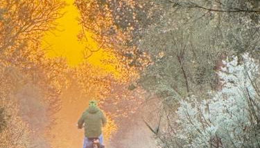 Mar Blau Estartit Rental - Foto 2