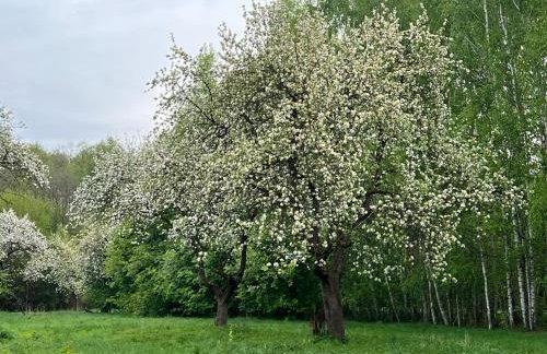 Apartamenty przy Suntago - Pieńki i Towarzystwo - Photo 15