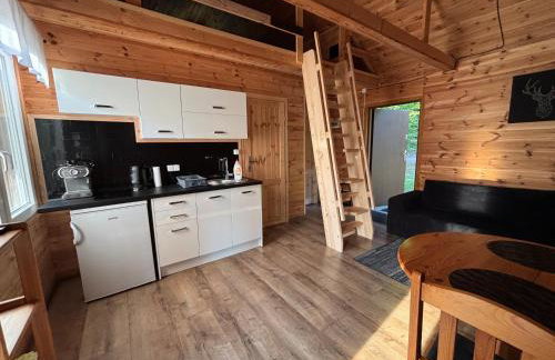 Leśny Zakątek - Mazury - Warmia - jezioro Dadaj - Foto 11