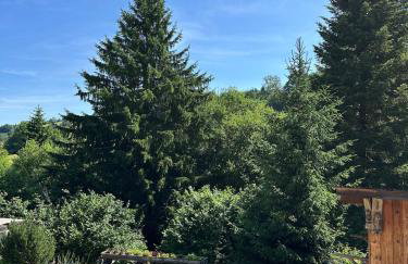 Gîte le Frêne - Foto 27