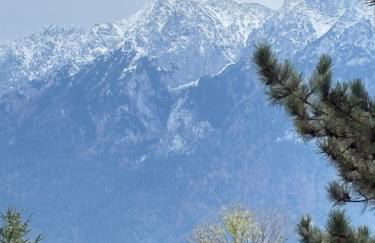 Rosels Mountain Lodge-Pool, Sauna & Kaiserblick-Balkon Ferienwohnung in Oberaudorf Bayern - Foto 44
