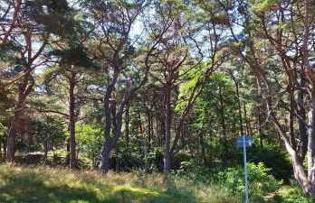 Traumblick und Komfort - lichtdurchflutete 85 qm Wohnung nahe Südstrand Göhren inklusive Schwimmbad und Sauna im AHOI Sellin - Foto 40