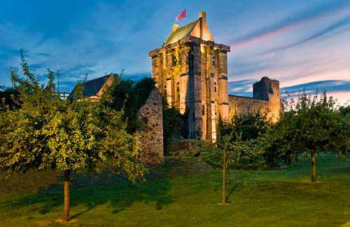 Chateau Le Vieil Etang - Foto 12