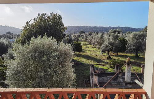 Casa da Papoila - Foto 25