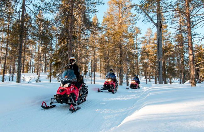 Escape to Wilderness: Full Day Snowmobile Safari - From Yllas - Photo 1