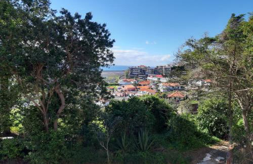 Apartamentos Matur Flats 2 - Foto 32