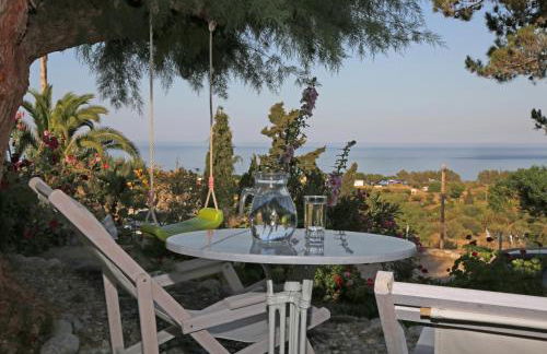 Little Blue - Photo 17