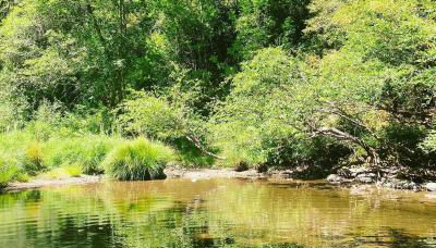 Rustic River Retreat - Foto 4