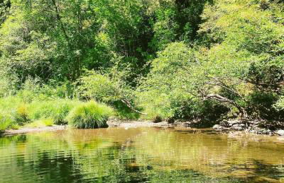 Rustic River Retreat - Foto 4