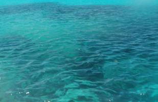 Sardegna segreta a pochi passi dal mare - Photo 30