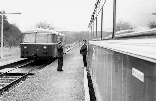Klimaanlage, 5 Sterne Bahnhoftraum, 200qm Appartement "Waldzauber", 1200qm Garten, QR Code scannen für virtuellen Rundgang, Premium Ausstattung - Photo 22