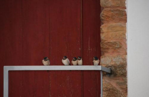 Quinta da Alagoa - Foto 74