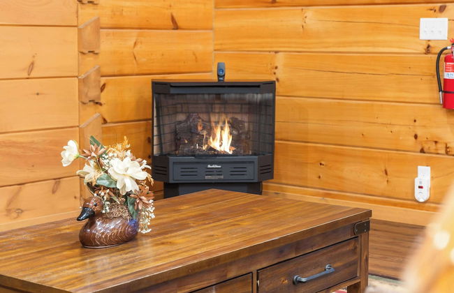 Teals Treasure Secluded Lakeside Cabin for 8! - Foto 22