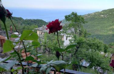 Orizontas Pilio Villa - Photo 34