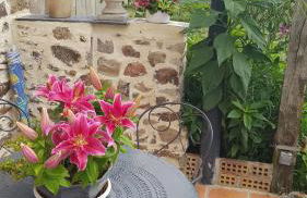 Gîte Esprit Mer - Foto 19