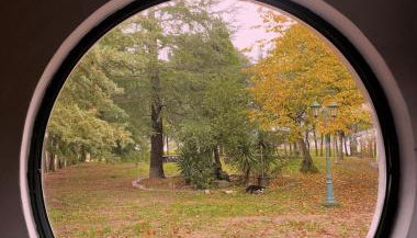 Quinta Santo Antonio do Rio - Foto 3, Garden view