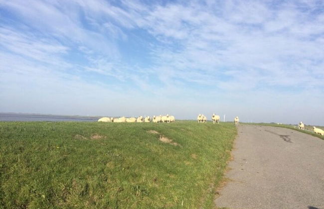 Holiday Apartment Ebbe - Foto 10