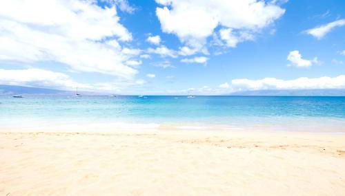 The Whaler, Studio with Stunning Ocean Views! Complimentary Rental Car Included! WH1-1218 by KBM - Foto 3