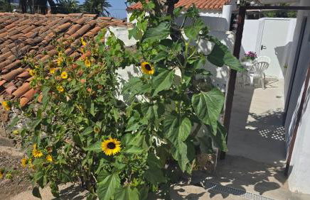 Los Frailes 28 - Foto 46