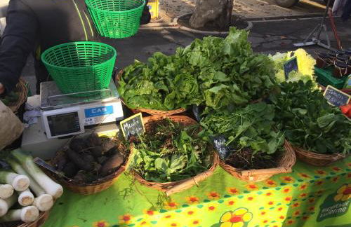 Marquise de Roc - Foto 66