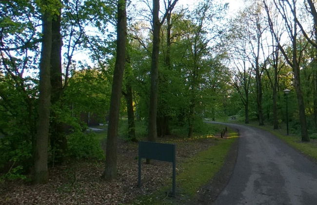 Bungalow at Klein Vink With Garden Terrace - Photo 27