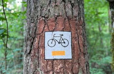 Przystanek Gałkowo - Foto 60