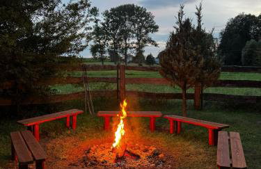 Siedlisko Waniewo 64 - Foto 5