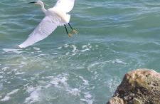 Villa Ange Azur 2 - Foto 37