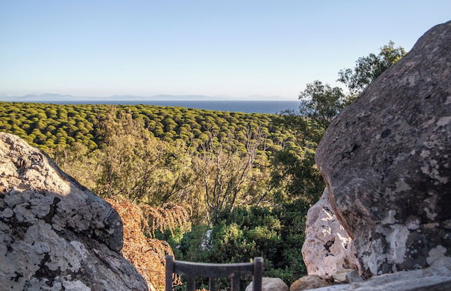 Love Garden - Photo 80