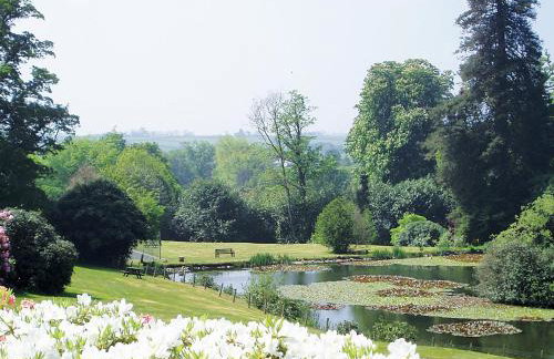 Talland Bay - Photo 13