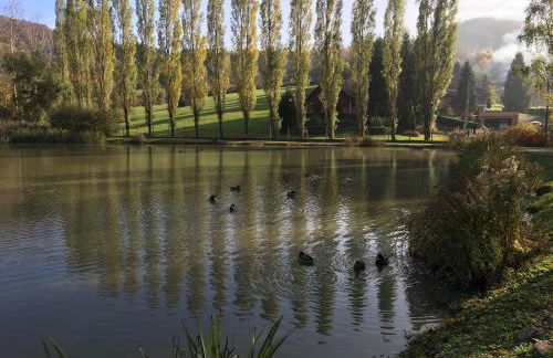 La Maison des Fontaines D'alsace - Foto 37
