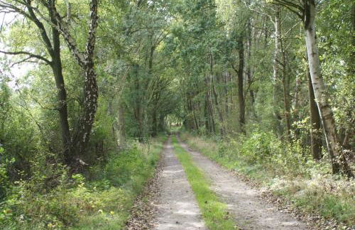 Schöner Winkel - Foto 32