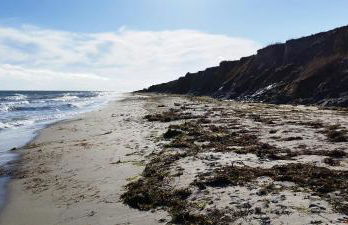 Seemöwe 1 - Foto 21