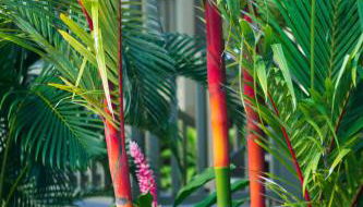 Hana Kai Maui - #103 Helani oceanview 1 BR - Foto 3, Garden view