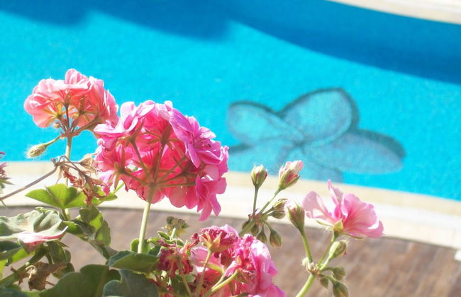 The Dunes Apartments - Foto 9