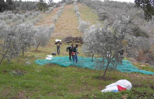 Casa do Souto - Foto 22