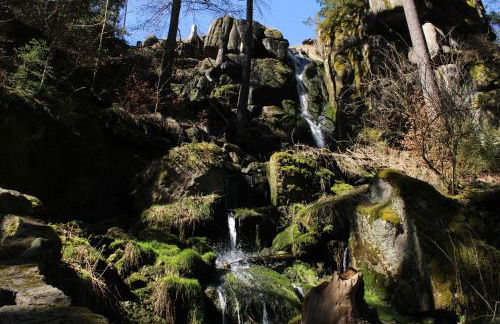 Gemütliche Ferienwohnung im schönen Erzgebirge - Wohnung Frühling - Foto 17