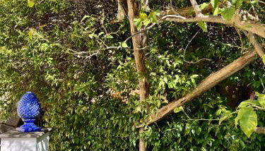 MARILISE - La maison blue private garden & terrace - Foto 3