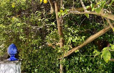 MARILISE - La maison blue private garden & terrace - Foto 3