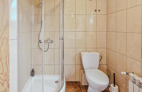 Nasza Chata Na Końcu Świata - bania z jacuzzy, palenisko, kominek, planszówki - Foto 42